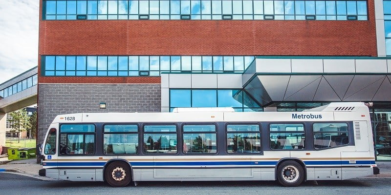 bus bus