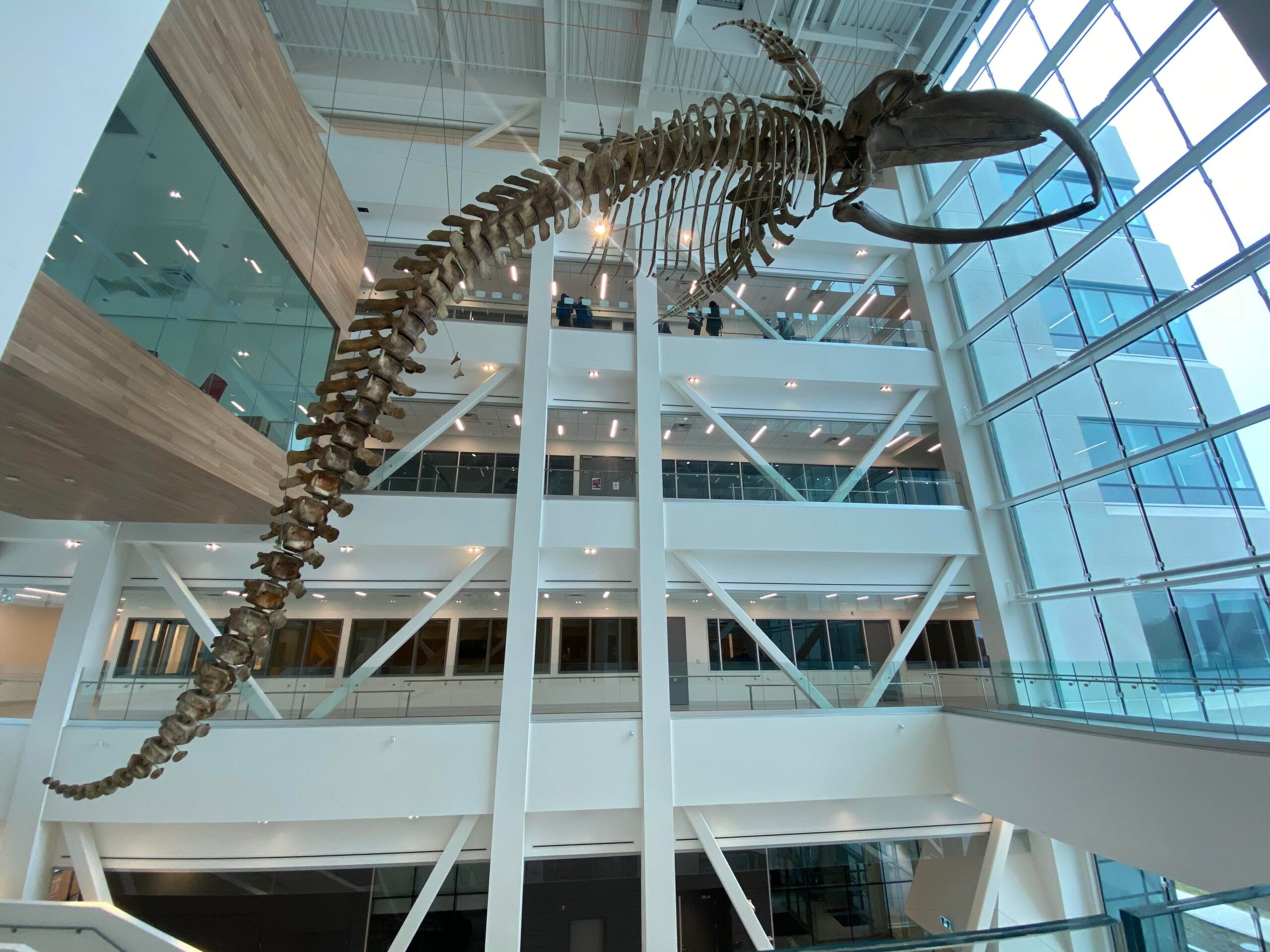 Photo Credit: Jenna Reid Photo Credit: Jenna Reid