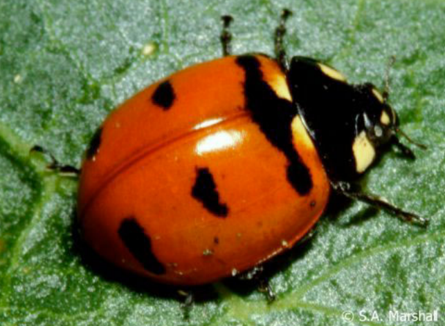 Screenshot 2022 06 22 161651