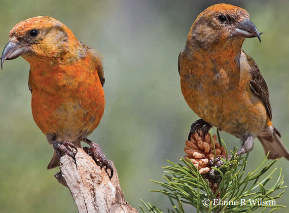 Screenshot 2022 06 22 162648