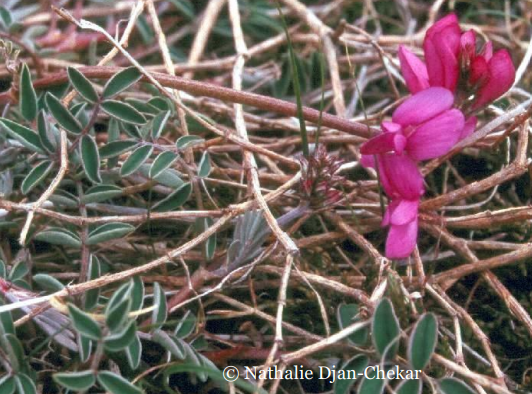 Screenshot 2022 06 22 162842