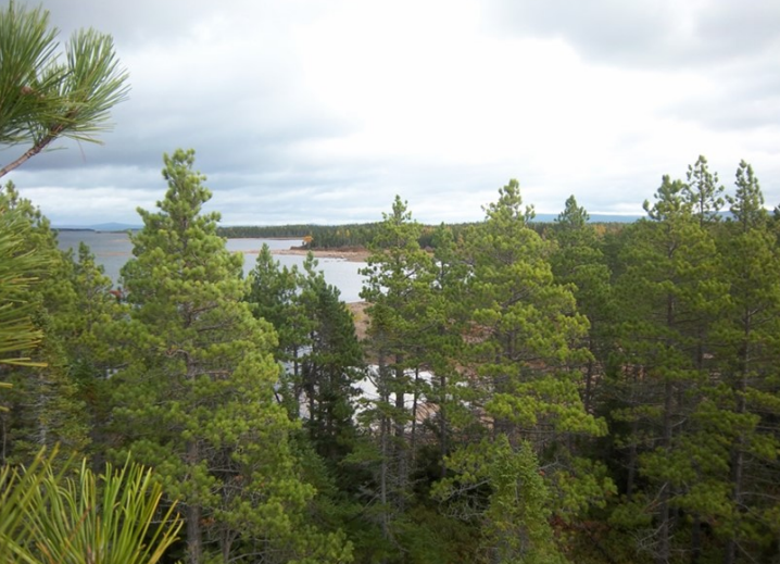 Screenshot 2022 06 22 163015