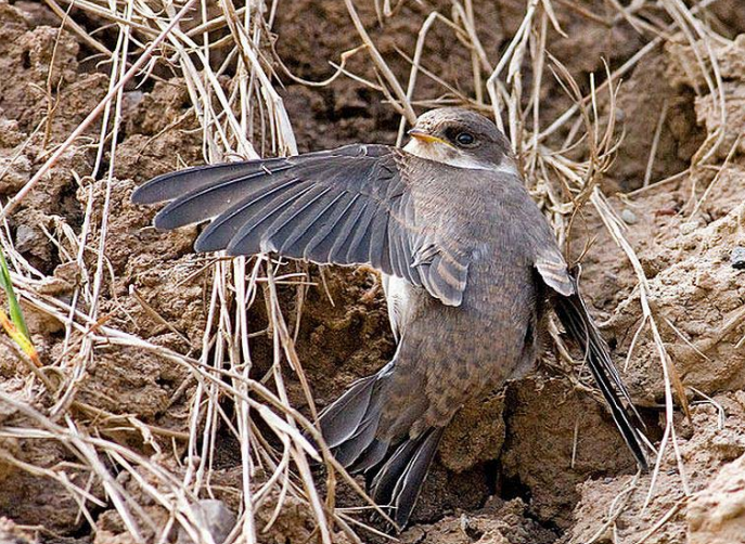 Screenshot 2022 06 22 163102