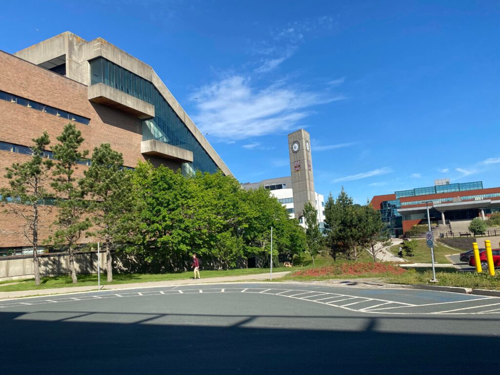 293792834 1451397582001311 1995979903799230164 n