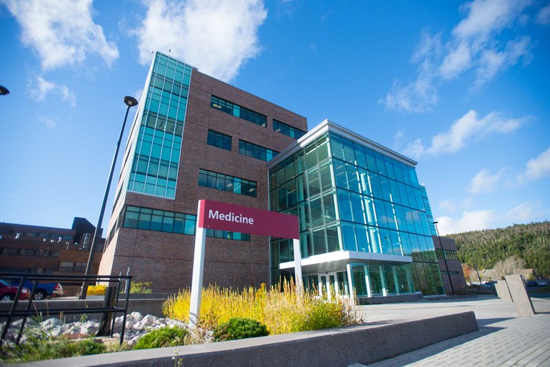 Med School in Daylight 2 Med School in Daylight 2