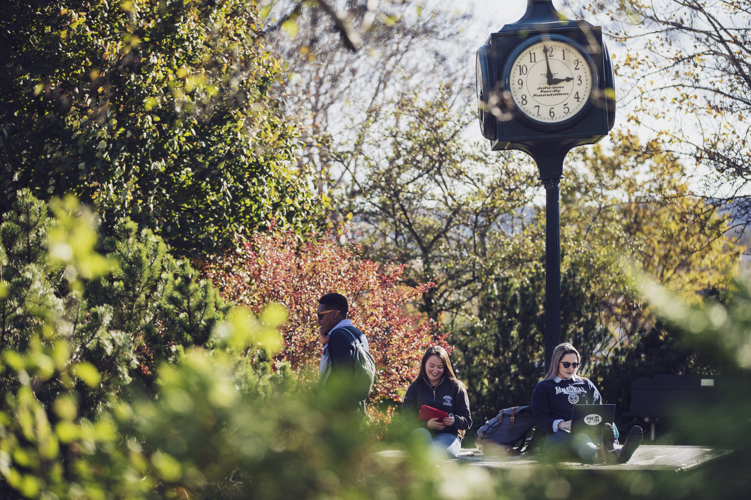 Photo Credit: Memorial University (via Flickr)