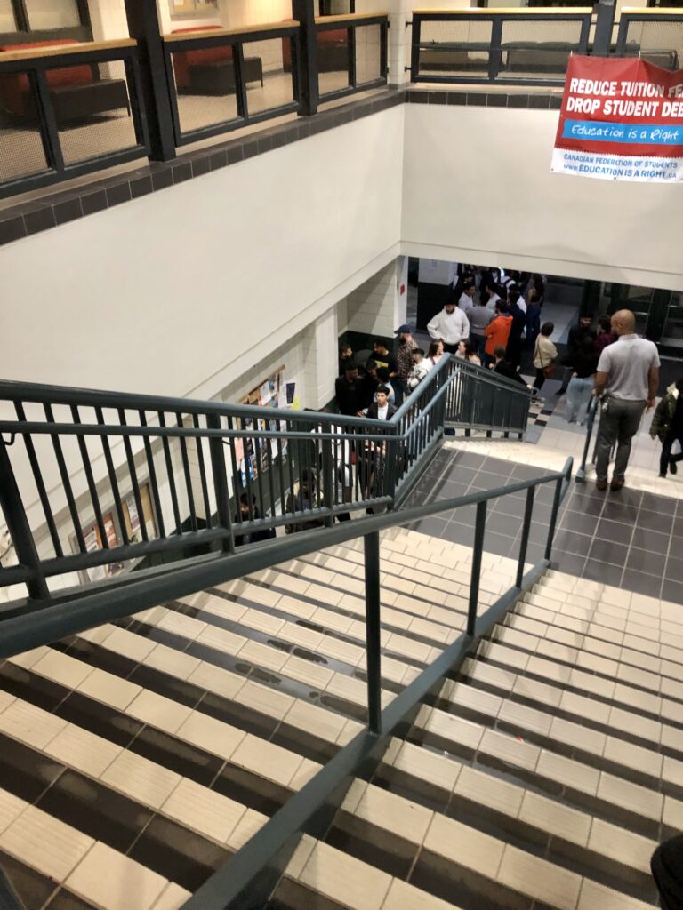 IMG 3706