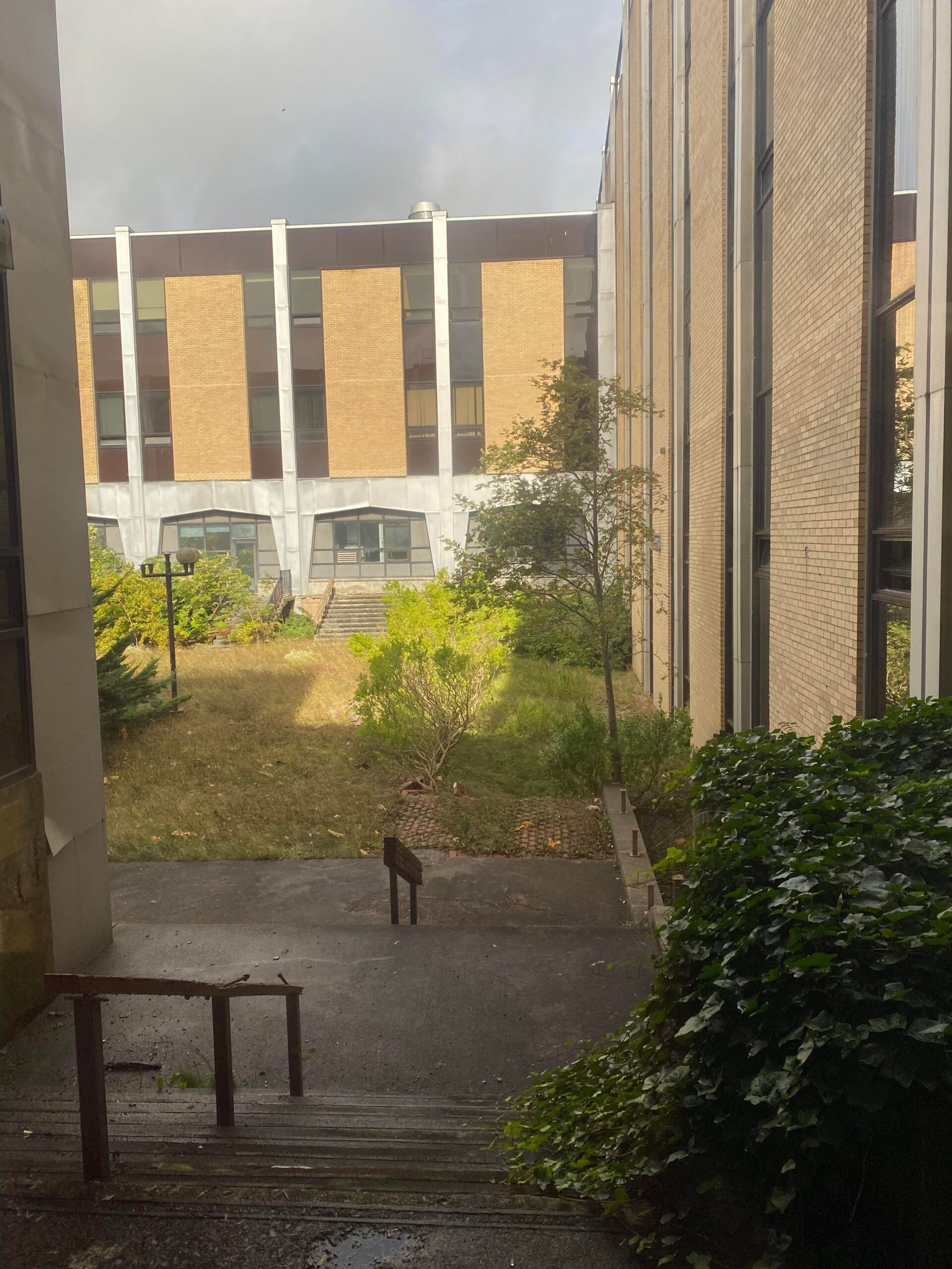 313914430 8546683672040855 3589209459976008257 n 313914430 8546683672040855 3589209459976008257 n