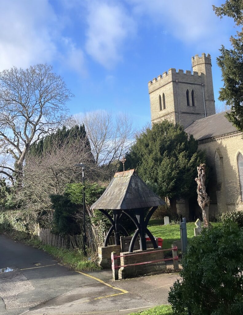 Outside my dorm window