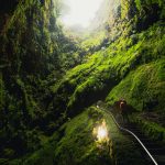 damir babacic BtHmwLekiIU unsplash 4