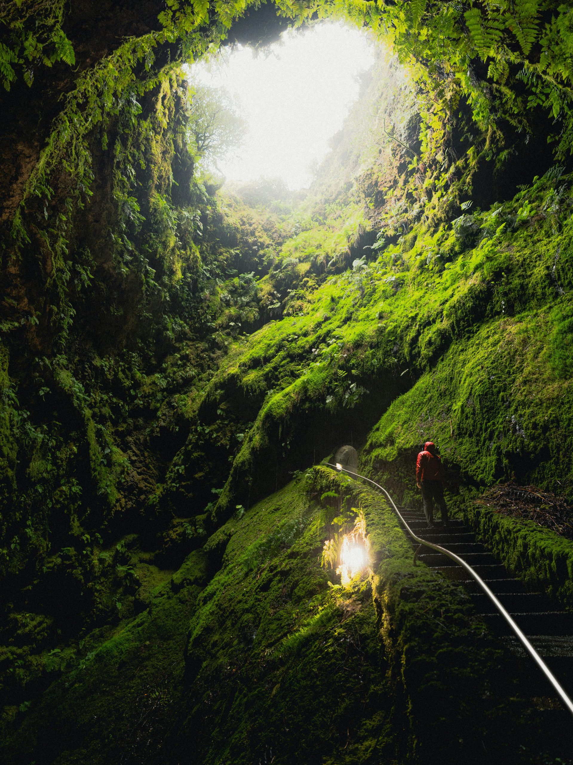 Damir Babacic Via Unsplash